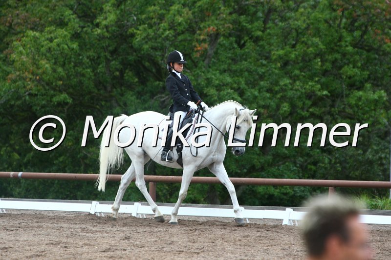 109M2608_Lett_Nothing Else_Dressur_A.JPG